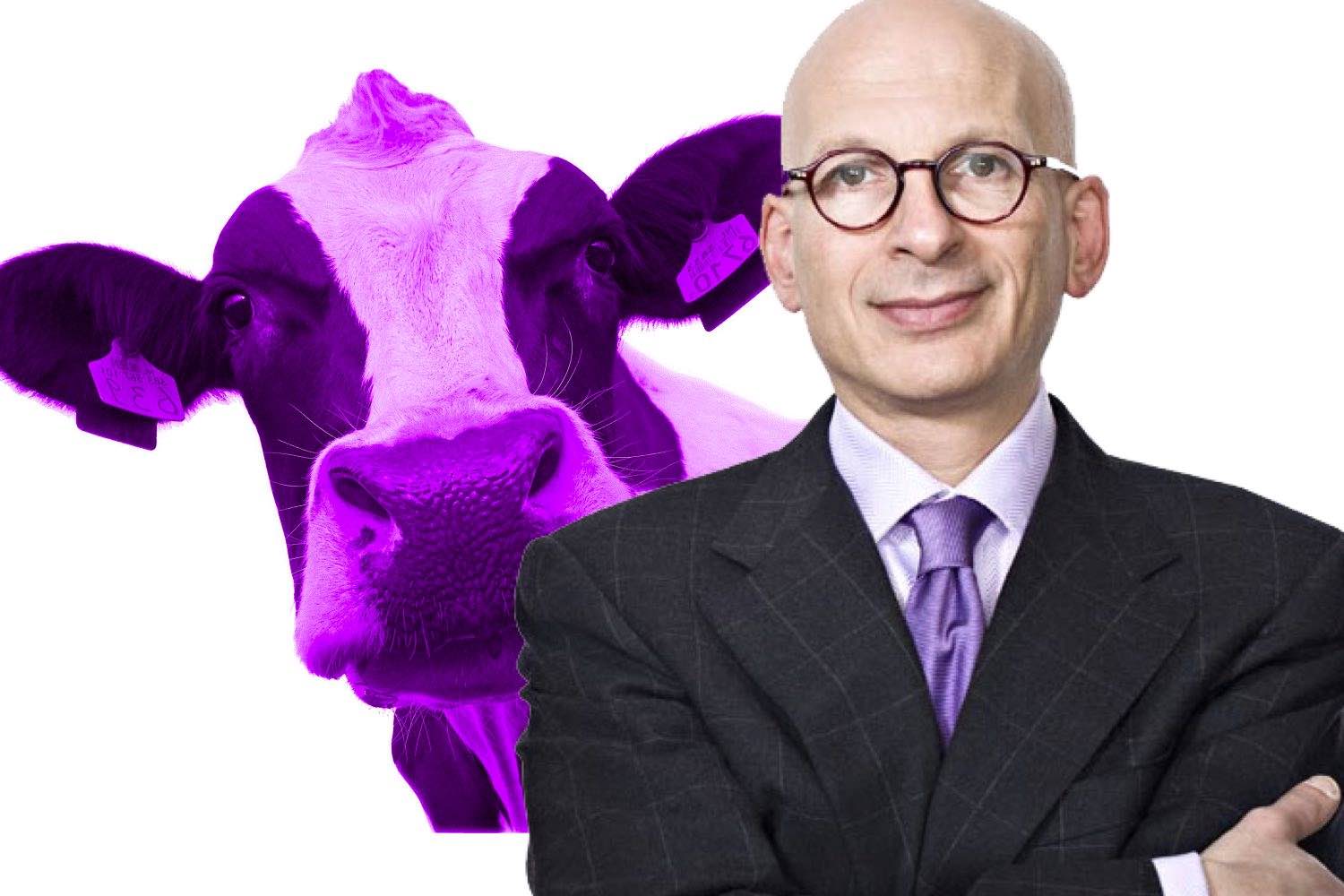 Resumen del libro La vaca púrpura de Seth Godin - Leader
